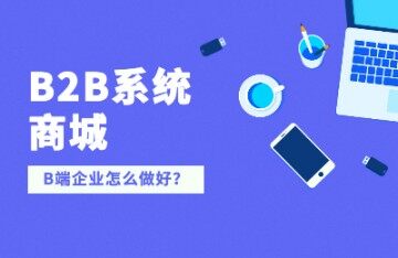  B端企业怎么做好B2B系统商城