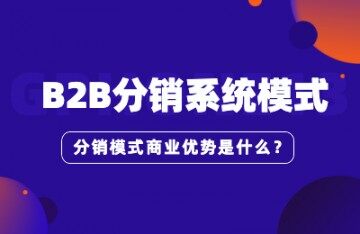 B2B分销系统模式是什么？